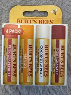 BURT'S BEES Moisturizing Lip Balm 4本セットのサムネイル