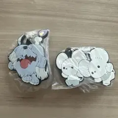 【値下げしました】ポケモンラバーマスコット25 ワッカネズミ　ボチ　2つセット