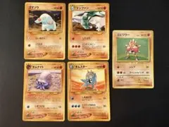 旧裏 ポケモンカード 5枚セット 進化ライン
