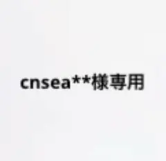 cnsea**様専用