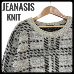 【美品】JEANASIS ジーナシスチェック柄ジャガードニット プルオーバー F