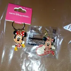 東京ディズニーリゾート ミッキー ミニー キーチェーン 2個セット