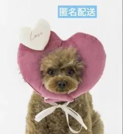 スリーコインズ　顔ハメハート　バレンタイン　スリコ　3coins