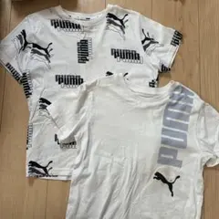 PUMA ロゴプリント Tシャツ 2枚セット　難あり