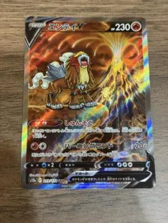 エンテイV SAR S12a VSTARユニバース