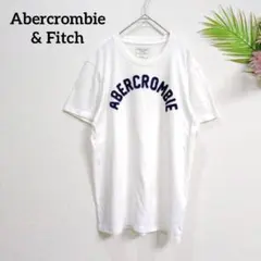 アバクロ 立体ビッグロゴ刺繍Tシャツ S 白紺 アメカジ Y2K 春夏 コットン