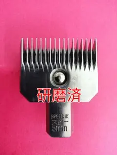 Item thumbnail for item 09fc4b7c-a1af-4ce0-bd19-0474168e7cc4