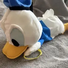 ディズニー ドナルドダックティッシュケース