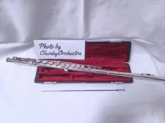 Item thumbnail for item 8c89afdd-eb80-47bf-b8e9-d23c9ed3a528