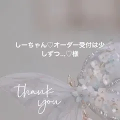 しーちゃん♡オーダー受付は少しずつ…♡様 リクエスト 10点 まとめ商品