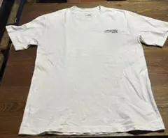 THE NORTH FACE 刺繍ロゴ　ホワイト Tシャツ L