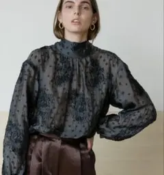 SILINAHLLIOS Sheer Gather Blouse - メルカリ