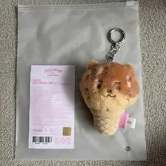 MINITEEN ミンハオ THEpalee ぬいぐるみ キーリング - メルカリ