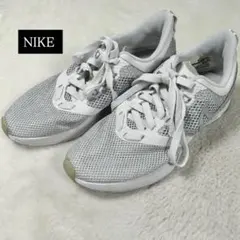 Item thumbnail for item 7385a11b-26e4-4a6e-8526-d8bf744f4bdf