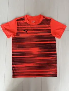 Item thumbnail for item 8c960906-25b2-4890-83a1-a411debac531