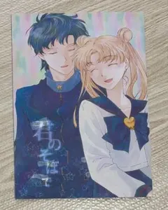 セーラームーン同人誌 星野光×月野うさぎ 星うさ セーラースターズ