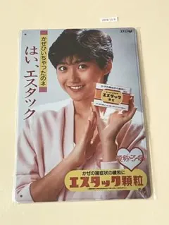 エスタック 顆粒 レトロ ブリキ看板 インテリア