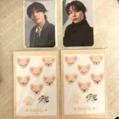 Straykids スキズ SKZOOポン オンラインくじアイエンFoxI.Ny