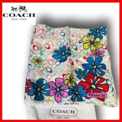 Item thumbnail for item 3edb16c9-68e0-4f7e-abf8-902615aab9e1