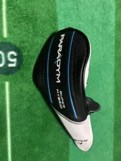 Item thumbnail for item 2e2c802e-4dd8-41b5-a262-213816258d42