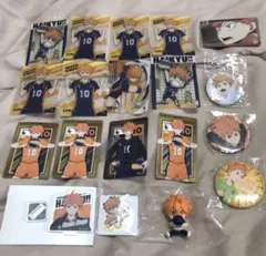 ハイキュー アクリルミニスタンド 缶バッジ カード 日向翔陽 まとめ売り