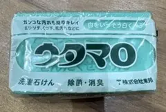 Item thumbnail for item ed1ab100-27f3-45cf-b0b0-547875412a33