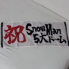 RAYS 祝SnowMan 5大ドーム タオル グッズ