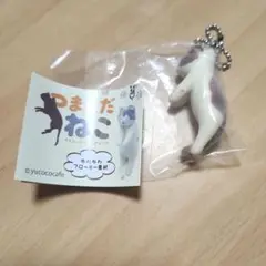 ガチャガチャ　つまんだネコ　ちゃとら