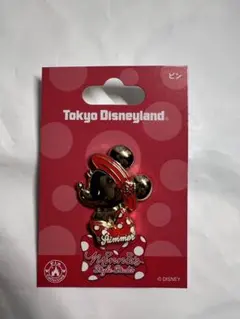 東京ディズニーランド ミニーマウス ピンバッジ　夏　サマー