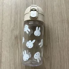 Item thumbnail for item d626b4f3-2ed5-40d9-bbd2-3f894ca42b44