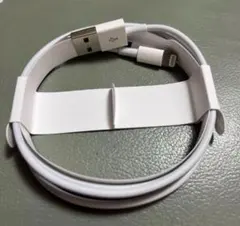 純正品 iPhone Apple ライトニングケーブル 充電