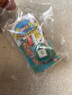 Item thumbnail for item f7388a30-bd48-47bc-bd56-a2f6f087f576