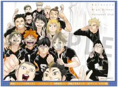 ハイキュー 最強ジャンプ付録 ポスター 烏野高校/プレースタイル