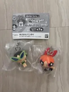 【美品】パワーパフガールズ　めじるしアクセサリー　２点セット