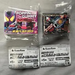 仮面ライダーシリーズ　DXミニチュア&パッケージコレクション01 2種セット