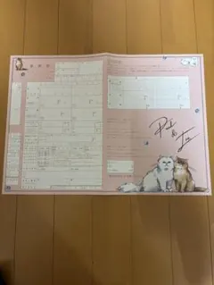 PAUL&JOE ポール＆ジョー 婚姻届 結婚式 プロポーズ ゼクシィ 付録 猫
