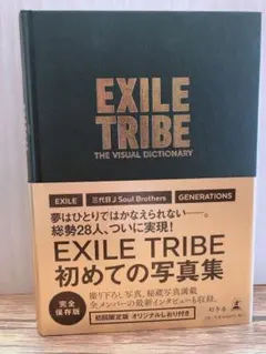 The Visual Dictionary【初回限定版】