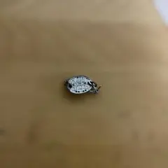 日*1様 激安！Dior シルバーリング ロゴ入り