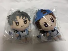 2025年最新】宍戸亮 ぬいぐるみの人気アイテム - メルカリ