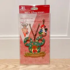 ディズニー　40周年　バッグチャーム　クリスマス