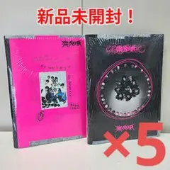 【新品未開封・まとめ売り】Stray Kids / 樂-STAR（10枚）