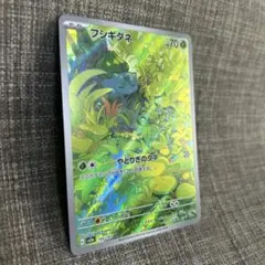 2025年最新】フシギダネARの人気アイテム - メルカリ