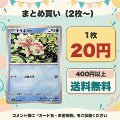 2026年最新】トサキントの人気アイテム - メルカリ