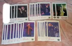 騎士A てるとくん フォトカ