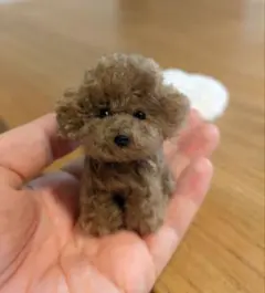 手乗りわんこ　トイプードル　全身　マット付のサムネイル