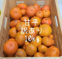 72甘平 かんぺい みかん 訳あり 10㎏