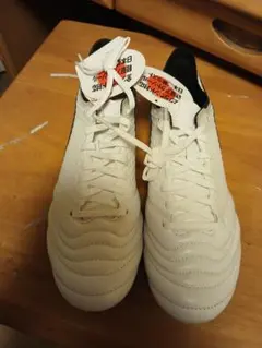 Item thumbnail for item 101da227-f120-44b2-943e-32719e7b2fc4