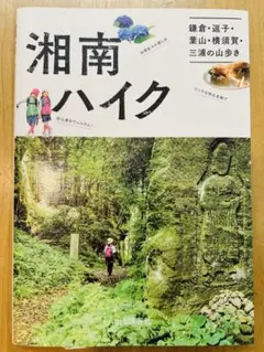 Item thumbnail for item 8abab50e-63c2-4b55-a97c-eb0fdd26e617