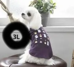 Item thumbnail for item ad51d908-5407-4288-b112-a708af7e623d