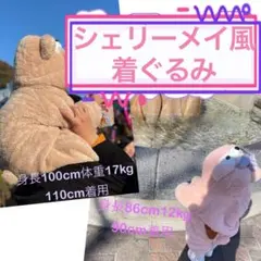 【連休限定値下げ中】シェリーメイ風着ぐるみ⭐️80〜100cm